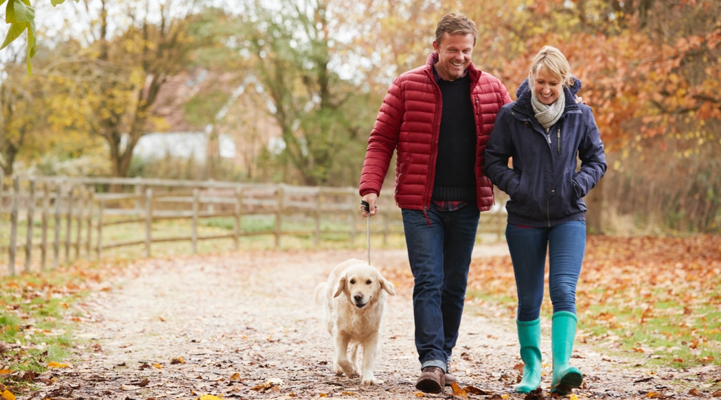 Middle-aged couple walking down a path with dog in the autumn.