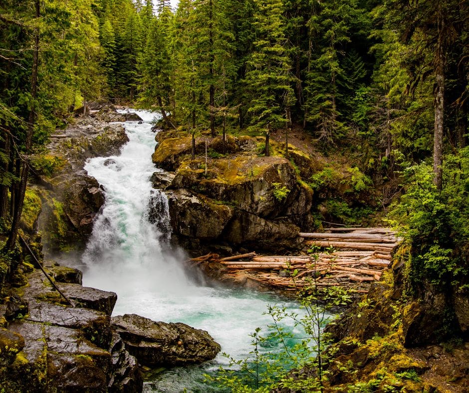 Waterfall crashing into log filled stream