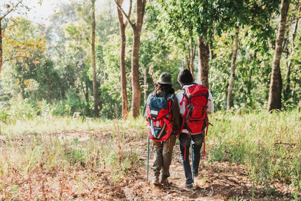 A couple walks side by side through a sun-dappled forest trail, each carrying a large backpack and hiking gear. Their relaxed pace and close proximity suggest a shared appreciation for adventure and nature, symbolizing companionship and freedom—possibly reflecting a fulfilling, active retirement.