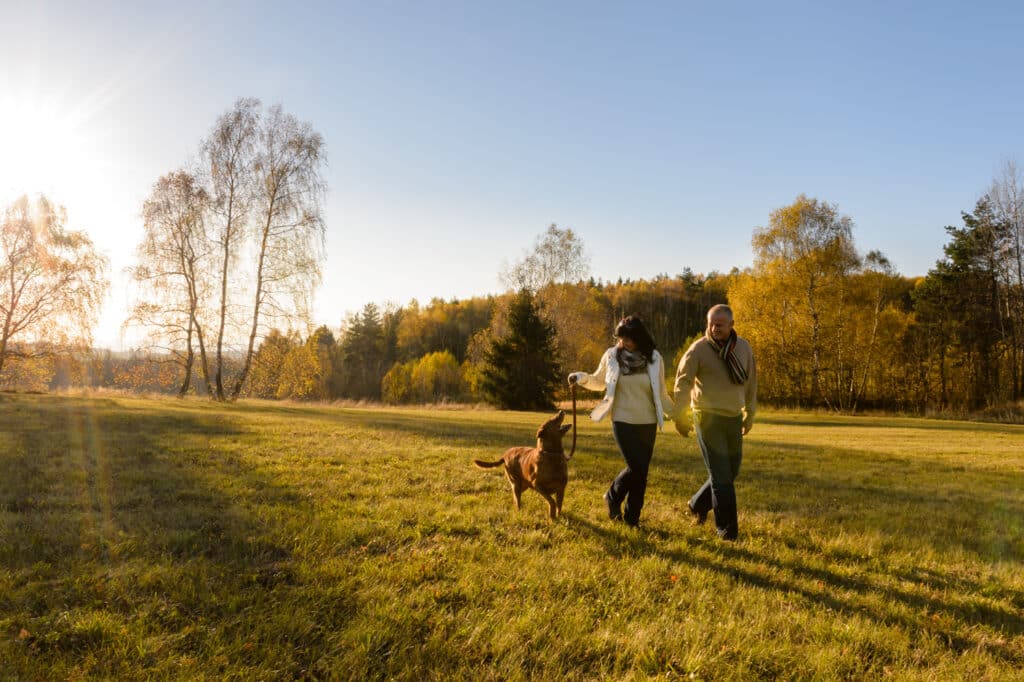 A couple walks hand in hand through a sunlit autumn field, with golden trees in the background and their dog trotting alongside on a leash. The warm sunlight casts long shadows across the grass, creating a peaceful, late-afternoon atmosphere.