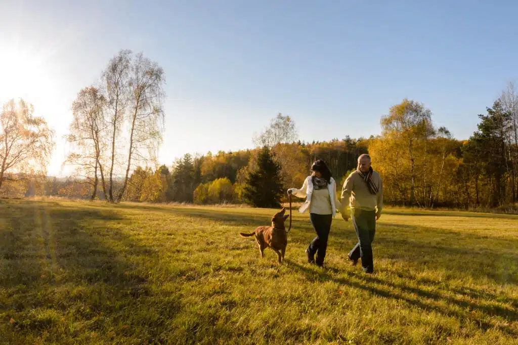 A couple walks hand in hand through a sunlit autumn field, with golden trees in the background and their dog trotting alongside on a leash. The warm sunlight casts long shadows across the grass, creating a peaceful, late-afternoon atmosphere.